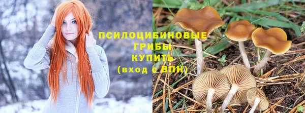 спиды Няндома