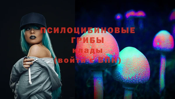 спиды Няндома