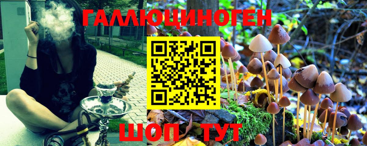 Псилоцибиновые грибы Magic Shrooms  Галлюциногенные грибы мухоморы  Владикавказ  Вход с VPN 