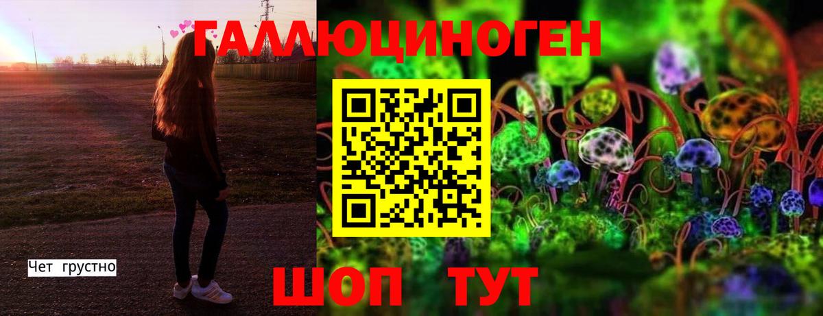 Псилоцибиновые грибы мицелий Владикавказ